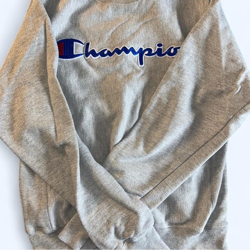 Champion Men's Crewneck Sweater in Gray